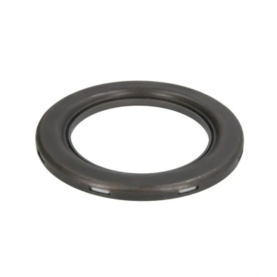 Imagem de SNR M258.09 Rolamento Amortecedor FIAT: Stilo Hatchback, BRAVO 2