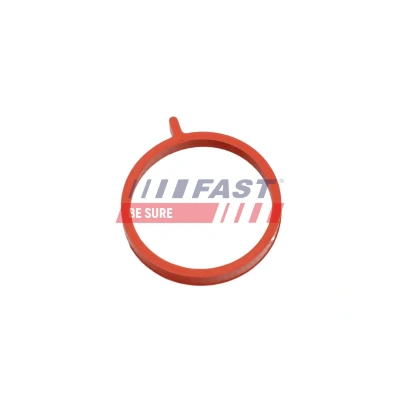 Imagem de FAST FT48964 Retentor, tubo do ar de sobrealimentação