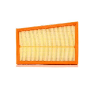 Imagem de PURFLUX A1317 Filtro de ar 59 163 233 Cartucho filtrante NISSAN: Qashqai / Qashqai+2 I, I Van, RENAULT: Koleos