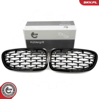 Imagem de ESEN SKV 66SKV190 Grelha de Radiador brilhante, preto BMW: 5 Sedan, Touring