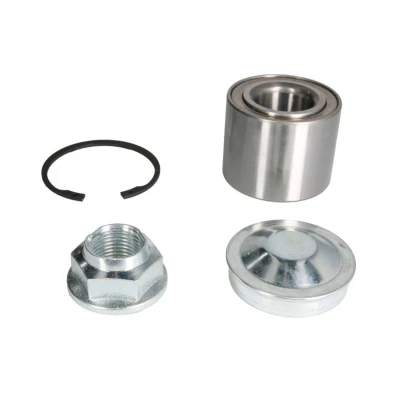 Imagem de MEYLE 16 14 750 0024 Kit de Rolamento roda Eixo traseiro com material montagem 62 rolos cónicos RENAULT: CLIO 4, 4 Kasten