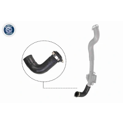 Imagem de VAICO V46 0828 Mangueira Para o Turbocompressor Borracha com entretela Original Quality RENAULT: Kangoo II Express, / Grand