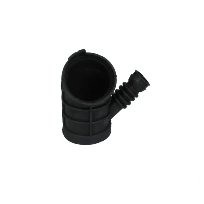Imagem de FEBI BILSTEIN 38542 Tubo flexível de admissão, filtro ar BMW: 5 Sedan, 3 Coupe endado, norauto, oscaro, mister auto