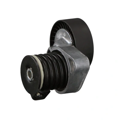 Imagem de FEBI BILSTEIN 22776 Tensor da Correia MERCEDES BENZ: Classe E Sedan, C T modell