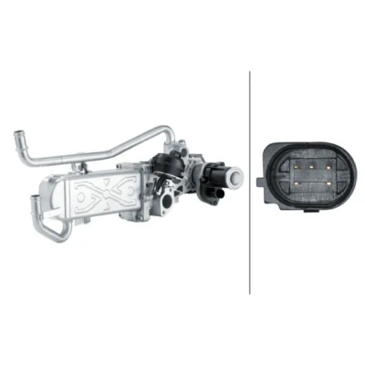 Imagem de HELLA 6NU 358 167 011 Módulo RGE (recirculação dos gases de escape) SEAT: Ibiza 4 ST, 4, Sportcoupe, VOLKSWAGEN: Polo V Hatchback