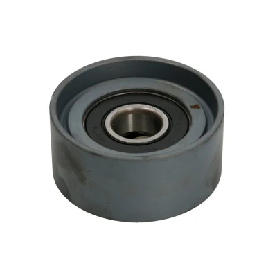 Imagem de DAYCO APV2403 Polia de Desvio