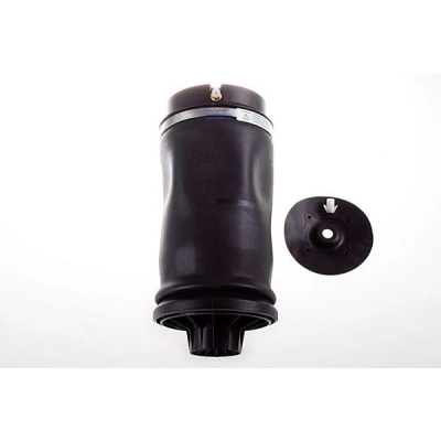 Imagem de DENCKERMANN DSA115G Mola pneumática, chassis Eixo traseiro pneumática MERCEDES BENZ: Classe ML, ML