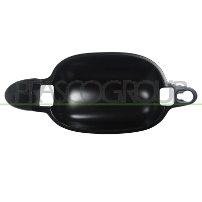 Imagem de PRASCO BM0468203 Puxadores de Porta exterior, traseira direita, à frente, lado direito com subcapa BMW: 5 Sedan, Touring
