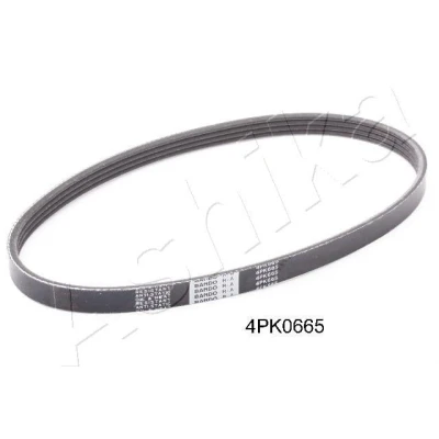 Imagem de Correia trapezoidal estriada ASHIKA 112 4PK665