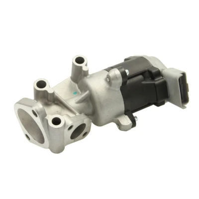 Imagem de ENGITECH ENT500060 Válvula EGR PEUGEOT: 407 Sedan, Coupe, SW, CITROËN: C5 III Carrinha