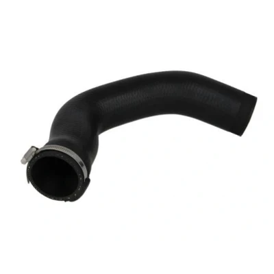 Imagem de THERMOTEC DCM033TT Tubo flexível de admissão, filtro ar Entrada, à direita