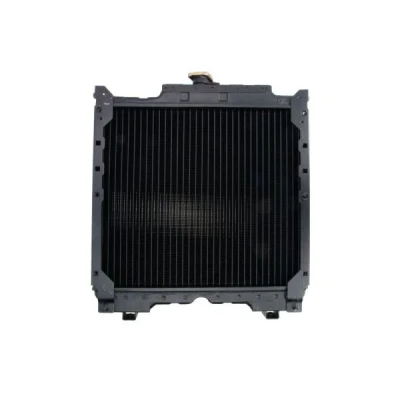 Imagem de THERMOTEC D7AG142TT Radiador, arrefecimento do motor