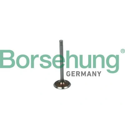 Imagem de Borsehung B19016 Válvula de Admissão VOLKSWAGEN: Golf 4, Polo III Hatchback