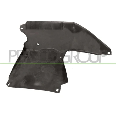 Imagem de PRASCO OP0341913 Isolamento do compartimento motor à frente, lado direito, instalação lateral OPEL: Corsa D Hatchback
