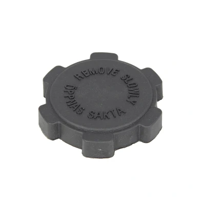 Imagem de Tampa, depósito de água THERMOTEC DBSC004TC