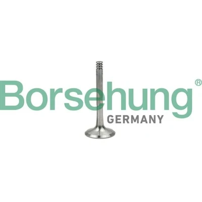 Imagem de Borsehung B18997 Válvula de Escape VOLKSWAGEN: Polo IV Hatchback, Touran I, Transporter 5 Bus, AUDI: A4 B7 Avant, B6 Sedan, A3 Hatchback