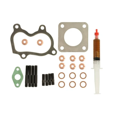 Imagem de Kit de montagem, turbocompressor EVORON EVMK0155