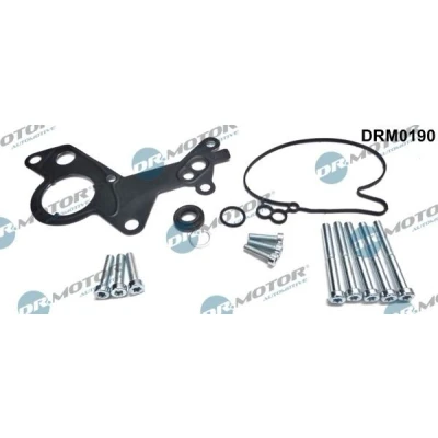 Imagem de DR.MOTOR AUTOMOTIVE DRM0190 Kit de reparação para bomba vácuo VOLKSWAGEN: Golf 4, 5, Passat B5 GP Sedan, AUDI: A4 B7 Avant, B6 Sedan