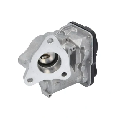 Imagem de Válvula EGR DELPHI EG10557 12B1