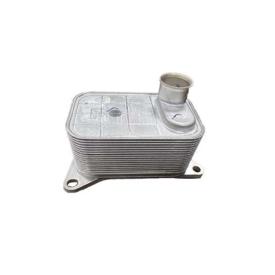 Imagem de Borsehung B10877 Radiador de Óleo SEAT: Ibiza 4 Sportcoupe, VOLKSWAGEN: Polo V Hatchback, AUDI: A1 Hatchback