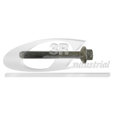 Imagem de 3RG 83631 Parafuso, suporte de injector RENAULT: MEGANE 1, GRAND SCENIC 3