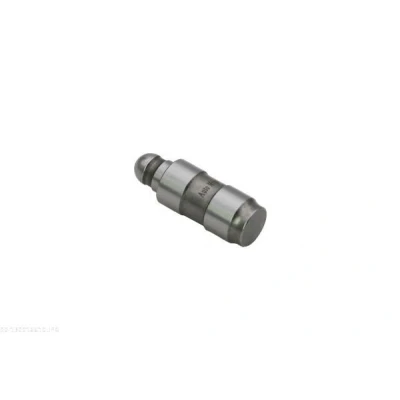 Imagem de AUTOMEGA 130016610 Came de Válvula hidráulico PEUGEOT: 206 Hatchback, 307 SW, 308 I VOLKSWAGEN: Golf 5, 4, Passat B5 GP Sedan