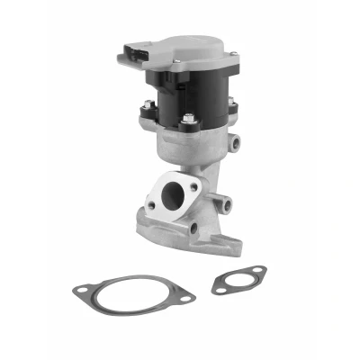 Imagem de WAHLER 710976D Válvula EGR elétrico