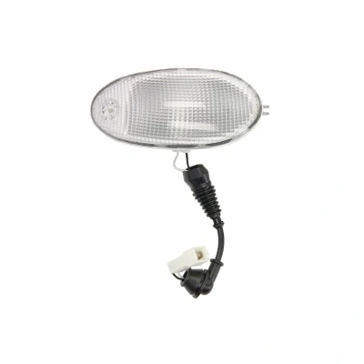 Imagem de Luz de limite lateral DT Spare Parts 7.25322