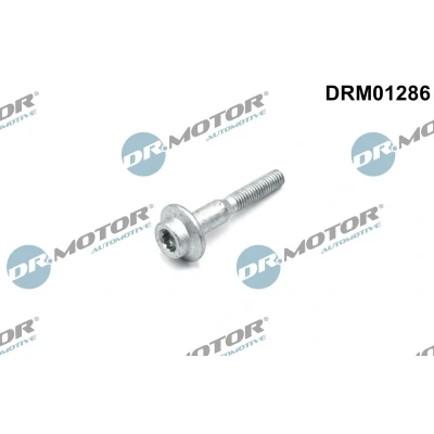 Imagem de DR.MOTOR AUTOMOTIVE DRM01286 Parafuso, suporte de injector SEAT: Ibiza 4 Sportcoupe, ST, 4, AUDI: A1 Hatchback