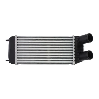 Imagem de THERMOTEC DAP006TT Intercooler FIAT: Scudo II, PEUGEOT: Expert II Van