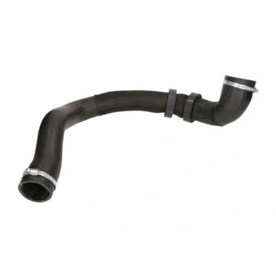 Imagem de THERMOTEC DCY003TT Mangueira Para o Turbocompressor