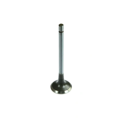 Imagem de Válvula de escape DT Spare Parts 4.62631