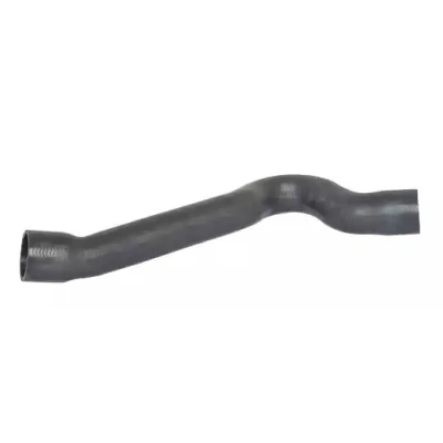 Imagem de BUGIAD 88729 Mangueira Para o Turbocompressor 61 PEUGEOT: 406 Carrinha, Sedan