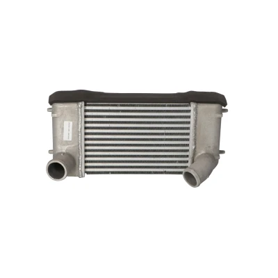 Imagem de NRF 30355 Intercooler LAND ROVER: Discovery 1, Defender SUV