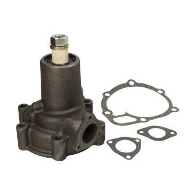 Imagem de THERMOTEC WP SC101 Bomba de água