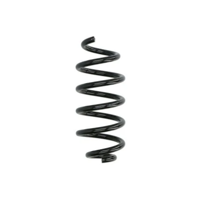 Imagem de Magnum Technology SR190 Mola de suspensão à direita