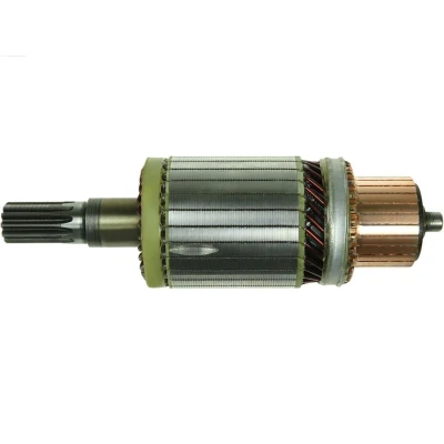 Imagem de AS PL SA2006 Induzido, motor de arranque