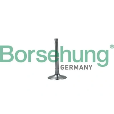 Imagem de Borsehung B19028 Válvula de Admissão AUDI: A4 B7 Avant, B6 Sedan, B6/B7 Cabrio, VOLKSWAGEN: Touran I