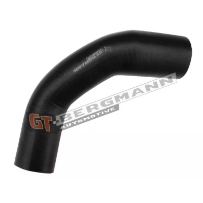 Imagem de SASIC 3334056 Mangueira Para o Turbocompressor RENAULT: CLIO 2, 2 Kasten, Kangoo I Express