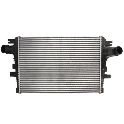 Imagem de THERMOTEC DAD004TT Intercooler