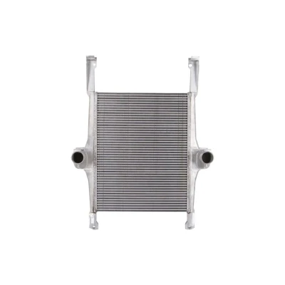 Imagem de Intercooler THERMOTEC DAIV002TT