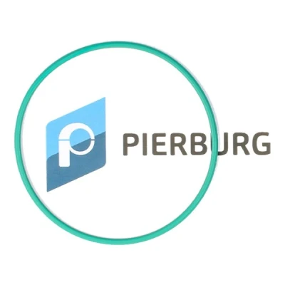Imagem de PIERBURG 3.32038.01.0 Juntas