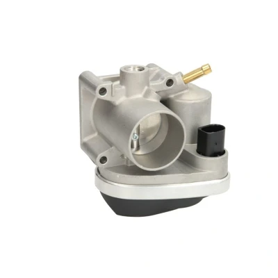 Imagem de TOPRAN 117 299 Corpo de Borboleta elétrico É necessário adaptar/actualizar unidade comando/software SEAT: Ibiza 2, 3