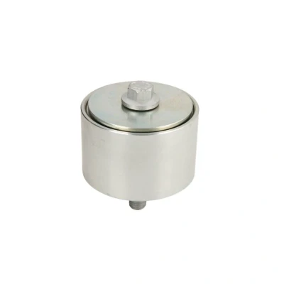 Imagem de DAYCO APV1060 Polia de Desvio