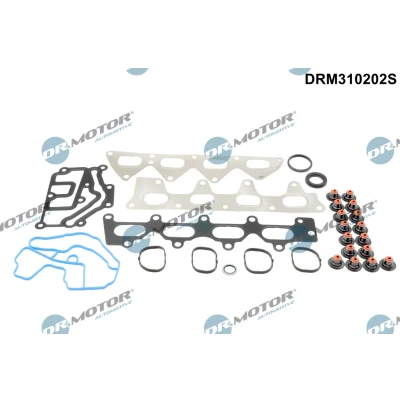 Imagem de DR.MOTOR AUTOMOTIVE DRM310202S Jogo de juntas, cabeça do cilindro RENAULT: CLIO 2, 3, GRAND SCENIC 2