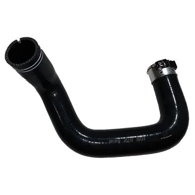 Imagem de BUGIAD 81750 Mangueira Para o Turbocompressor Silicone com braçadeira FIAT: Tipo Carrinha, Hatchback, Sedan