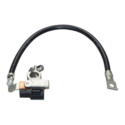 Imagem de HELLA 6PK 010 562 931 Sensor, gestão da bateria