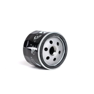 Imagem de CHAMPION COF102116S Filtro de óleo 3/4&quot; 16 UNF aparafusado RENAULT: 4 Carrinha, 11 Hatchback, 12 Sedan
