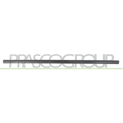 Imagem de PRASCO VG0211403 Friso Porta com película adesiva VOLKSWAGEN: Polo IV Hatchback
