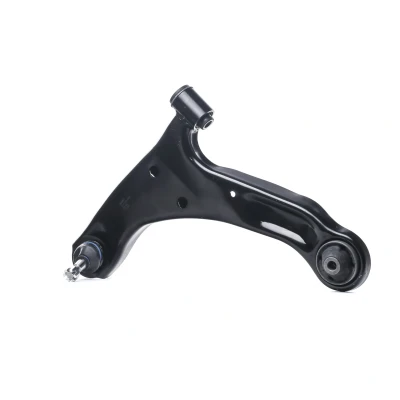 Imagem de DELPHI TC3689 Braço de suspensão oscilante longitudinal SUZUKI: Grand Vitara 2 SUV